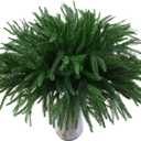 18" Real Touch Norfolk Pine Stems for Christmas Decoration, Artificial Pine Branches Greenery Stems for Vase, Christmas Picks for Xmas Tree,Wreath,Table,Planter,DIY Home Decor (12 Pcs Pine Branches)