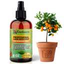 Liquid Silica Boost Fertilizer and Supplement Spray for Mandarin Trees  Pre-Mixed, Ready-to-Use Liquid Silicon Plant Superfood Mist for Indoor & Outdoor Plants  8oz