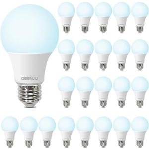 LED Light Bulbs Daylight 5000K, 60 Watt Equivalent LED Bulbs, A19 Standard Bulbs, 800 LM, 15000 Hours, E26 Base, Non-Dimmable, 8W LED Bulbs for Bedroom Living Room 24 Pack