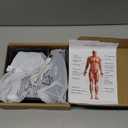 AYURA Massage Gun Deep Tissue, Muscle Massager Gun for Pain Relief, Percussion Massage Gun with 30 Speeds & 6 Heads, Portable Handheld Back Massage Gun for Athlets Men Women