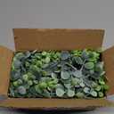 DearHouse Faux Eucalyptus Garland Plant, 2 Pack Artificial Vines Hanging Eucalyptus Leaves Greenery Garland for Wedding Backdrop Arch Wall Decor, 6 Feet/pcs UV Protected Indoor Outdoor