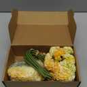 18 pcs Champagne Hydrangea Flowers 2 Bouquets Hydrangea Artificial Flowers 11.8 in Realistic Silk Flowers for Home Party Decorations Floral Arrangement (Yellow)