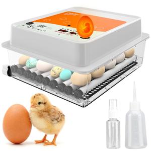 OBI-36 Egg Incubator for Hatching - 36 Eggs - Stable Temperature & Humidity Control with Eggloo Insulation, Candler - Ideal for Families and Farms - Suitable for Chicken, Duck, Quail Eggs (Orange)