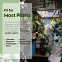 Hinwo 6-Pack Plastic Plant Pots with Drainage Holes and Saucers, 4.7 Inches Small Planters for Succulent, Orchid, General Plants, Flowerpots for Indoor, Outdoor Use, Carbon