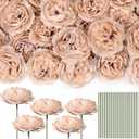 Thiccywoov 100 Pcs Flowers Long Stem Artificial Rose, 3.2 Inches Silk Rose Head Flowers Fake for Wedding Bridal Bouquet Independence Day Home Floral DIY Centerpieces Party Decoration(Nude)