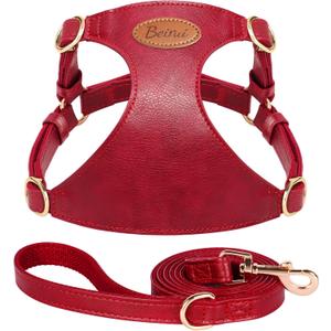 Beirui Small Dog Harness and Leash Set, PU Leather, Red,S,Chest 19.5-23" | For Small Dogs, Adjustable Step in Puppy Harness, Breathable Mesh Lining, Durable Metal Buckle, For Walking Traveling
