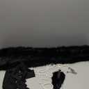 Zhanmai 20s Flapper Accessories for Women 1920s Costume Set Halloween Fur Faux Scarf Headpiece Necklace Earrings Gloves (Black)