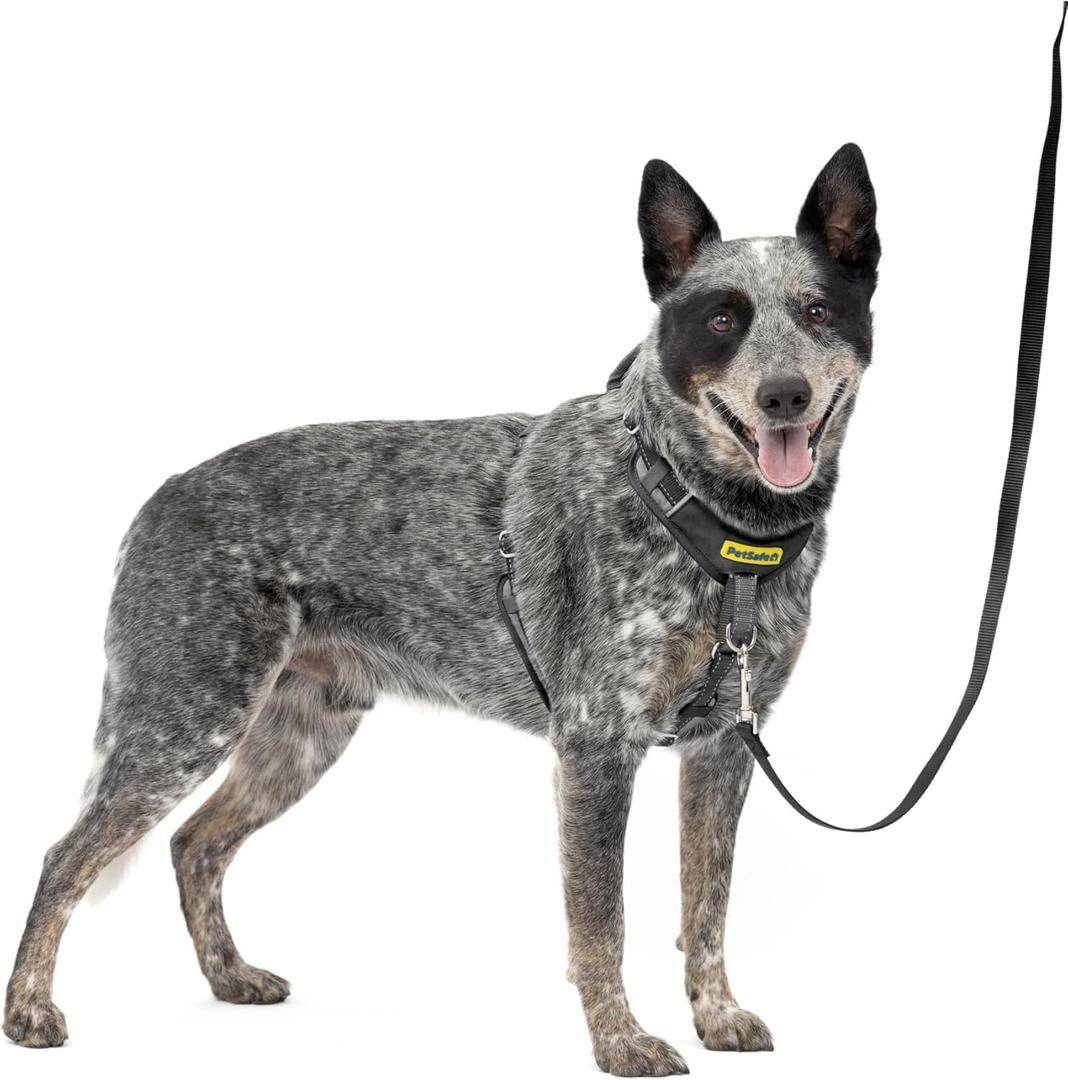 PetSafe Easy Walk Comfort No-Pull Dog Harness Full-Body Padding - Better Walks on The First Use - 5 Points of Adjustment Medium, Black (Medium, Black)