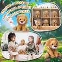 12 x 12 Pieces Lion Plush Set 6 Inches Cuddly Lion Stuffed Animal Soft Cuddly Plushie for Boys Girls Birthday Favors Gifts Forest Party Decor