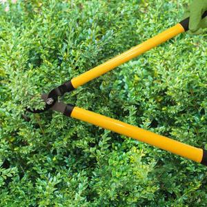 Centurion, gardening tools, yellow