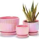 Ton Sin Pink Gold Ceramic Flower Pots, 4"+5"+6" Inch Small Glazed Succulent Planters with Drainage Hole,Modern Indoor Decorative Plant Pots Set of 3,Garden Pots with Saucer