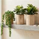 Artificial Succulents with Pots - Set of 3 Small Fake Plants for Aesthetic Room Decor - Realistic Mini Faux Greenery for Office Desk, Bookshelf, and Bathroom - Modern Home Accents