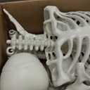 LINAYE 2 Pack 5.4ft Life Size Halloween Skeleton with Movable Joints