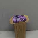 Deepsoon Heating Pad, Electric Heating Pads for Back, Neck, Abdomen, Moist Heating Pad for Shoulder, Knee, Arms, Legs, Dry/Moist Heat & Auto Shut Off, Christmas Gifts for Men and Women, Dark Purple, 24x12 Inch