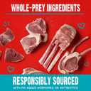 Stella & Chewy's Freeze-Dried Raw Coated Dog Biscuits  Grass-Fed Lamb Recipe  Protein Rich, Grain Free Dog & Puppy Treat  Great Snack for Training & Rewarding  9 oz Bag (9 Ounce (Pack of 1))