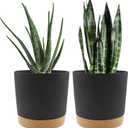 QCQHDU 8 inch Plant Pot, 2 Pack Planters for Indoor Plants with Drainage Holes & Saucer, Outdoor Flower Pots Home Garden Modern Decor (Dark Grey)