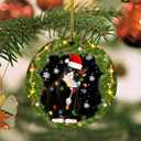 2 x DECORLUXES Set 2 Christmas Ornaments 3.1" - Tuxedo Cat Acrylic Ornament, Black and White Cat Christmas - Black cat Ornament - Christmas Tree Decoration Ornament