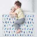 Organic Incontinence Pads for Kids & Toddlers - 5 Layer Waterproof Protectors for Overnight Bed Wetting - Reusable & Washable Pee Pads - Fits Twin to Full Size Beds - 34" x 52" Dinosaur