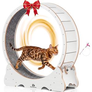 Cat Wheel, 53" XXL Large Exercise Running Wheels with Detachable Carpet for Indoor Cats