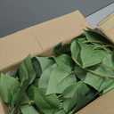 alyptus Fake Pothos Hanging Plants  33" Set of 2 Faux Ivy Vines with Pots, Realistic Silk Devils Ivy for Indoor Dcor, Low Maintenance Artificial Greenery for Home Bathroom or Office - Green