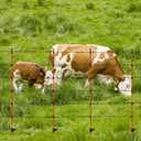 45 Inch Fiberglass Step-in Electric Fence Post, 20 Pcs Temporary Fence Stakes with Clips for Cows, Sheep and Animals Fence, Garden Protection Pole for Livestock Control (20)
