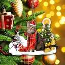 3 x American Shorthaired Technically Cat Ornament, Acrylic Christmas Tree Hanging, 2023 Funny Cat Lover Xmas Decoration