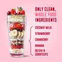 FlavCity All in One Protein Shake Powder, Berries and Cream - On the Go Meal Alternative + Collagen Peptides, Reishi & Cordyceps - Focus, Skin, Hair & Joint Support - 100% Grass Fed Whey, 20 Servings
