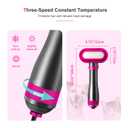 Dog Hair Dryer,2-in-1 Pet Hair Dryer & Brush,300W Pet Grooming Dryer, 360-Degree Circulation Out of The Wind,3-Speed Temperature Adjustment for Small/Medium-Sized Cats and Dogs