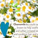 Babo Botanicals Sensitive Baby Mineral Sunscreen Lotion SPF50 - Natural Zinc Oxide - Face & Body - Fragrance-Free - Water-Resistant - EWG Verified - Vegan - Extra Sensitive Skin - For Babies & Kids