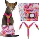 CuteBone Dog Diapers Female 3 Pack Reusable Doggy Diapers with One Suspender for Small Dog Period BDD02S, S
