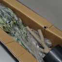 Artificial Ficus Tree 5FT Faux Silk Plants with Sturdy Plastic Nursery Pot,Fake Ficus Trees for Home Office Farmhouse Indoor Outdoor Decor Perfect Housewarming Gift (5FT-1Pack)