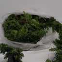 Northlight 50' x 14" Dakota Red Pine Commercial Artificial Christmas Unlit Garland, Green