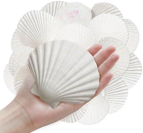 ASBEFORE 10Pcs 4-5“ Sea Shells Natural Scallop for Crafts - DIY Jewelry Holder Large Painting Beach Decorations Ocean Themed Sea Party Wedding Shell Bowl Pack of 3