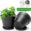 6 Pack Plastic Plant Pots with Drainage Holes and Tray, 7 inch Thickened Indoor Planters Seedlings Nursery Pots for Flowers, African Violet, Succulent and All House Plants, Black