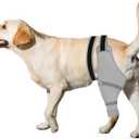 Dog Rear Leg Sleeve to Stop Licking: Soft Recovery Wrap for Hind/Back Leg Wounds, TPLO ACL Surgery, Surgical Sleeve for Small Medium Large Dogs, Cone Alternative (Left-L, Light Gray)