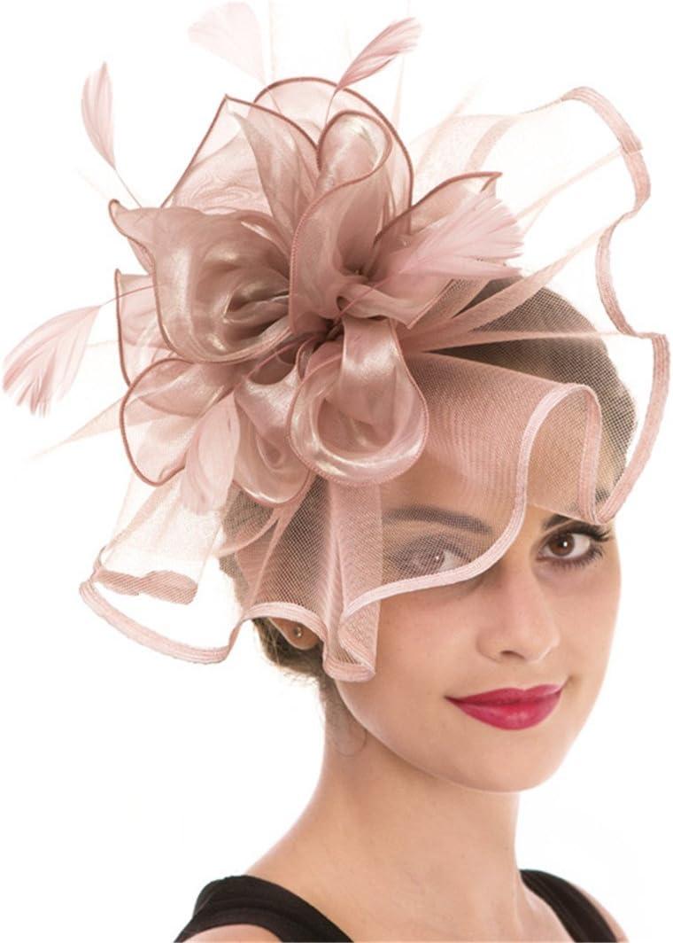 Women's Organza Church British Fascinator Bridal Tea Party Wedding Hat Summer (Hj2-pink)