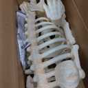 JOYIN Howling Wolf Skeletons Halloween Decorations 34” Skeleton Dog with Red LED Eyes, Auto-Chin Opening and Closing, Movable Posable Joints Animal Skeleton for Outdoor Indoor Garden Graveyard Decor