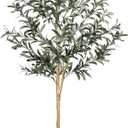 6FT Olive Tree Artificial Indoor with Natural Wood Trunk
Faux Olive Tree with Realistic Leaves , Lifelike Olives and Sturdy Base，Fake Olive Tree for Home Decor Office Living Room