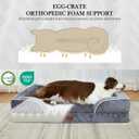 Comfort Expression Orthopedic Dog Bed for Small Dogs 20x14 Inch, Waterproof Supportive Egg Crate Foam Small Pet Bed with Removable Bolsters, Dog Couch with Washable Cover & Non-Slip Bottom, Dark Grey