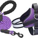 Haapaw Essential Dog Harness, No Pull Pet Vest with 3 Leash Clips, No Choke, Reflective, Adjustable and Padded, for Easy Walking and Training for Medium Dogs(M, Purple)