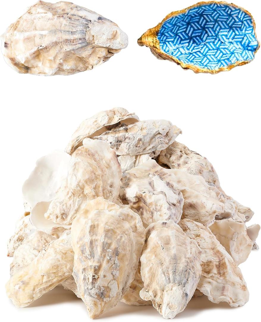 20Pcs Oyster Shells for Crafts 3"-4" Large Oyster Shell for CraftsOyster Shell for Christmas Painting Beach Themes Wedding, Home Shells for Decoration and Sea Shells for Crafting