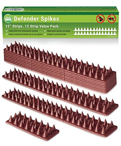 De-Bird Defender Spikes - 12-Pack Bird Deterrent Spikes for Birds & Squirrels, Anti-Climb Repellent for Cats, Raccoons & Pigeons, 12-Foot Easy Install Strips