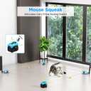 Interactive Cat Toy for Indoor Cats, Auto/Remote Control DIY Cat Mouse Hunting Treadmill Keep Bored Kitten Puppy Entertained to Chase, Feather Toy to Exercise-Sky Blue