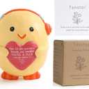 Inspirational Gifts for Women, Emotional Positive Support Resin Duck, Encouragement Gift for Office Desk Decor, Christmas Stocking Stuffers for Family Friend Coworker