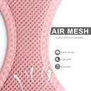 Fida Comfy Dog Harness with Leash, Soft Puppy Vest Escape Proof, Breathable Lightweight Soft Mesh, Adjustable Reflective Step-in Harness for Small Dogs Walking (S, Pink)