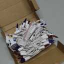 HISHINY Christmas Lights 100 Count Clear Christmas Tree String Lights with White Wire for Outdoor Indoor Christmas Decorations Wedding Decorations Valentines Day Decor,UL Certified (21feet)