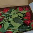 15pcs Artificial Rose Silk Flowers Long Stems Single Fake Flowers Bride Bouquet Realistic Touch Blossom Arrangement Home Office Party Living Room Décor(Red)
