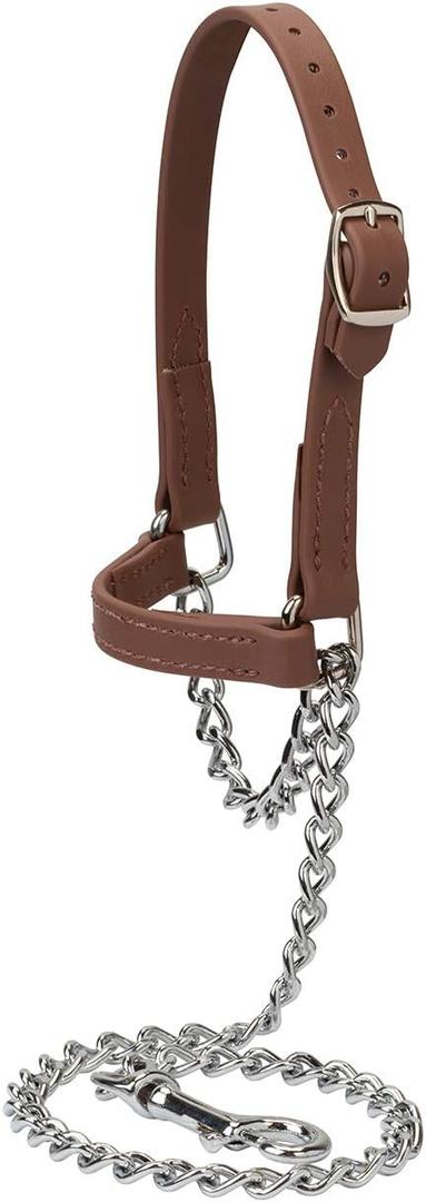 Brahma Webb  Goat Halter, Medium, Brown
