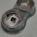 Dog Bowls Double Dog Water and Food Bowls Stainless Steel Bowls with Non-Slip Resin Station, Pet Feeder Bowls for Puppy Medium Dogs Cats (6.Green)