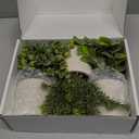 Der Rose 3 Pack Mini Potted Fake Plants Artificial Plastic Eucalyptus Plants Topiaries for Home Office Desk Farmhouse Shelf Room Bathroom Decor(Sage Green)